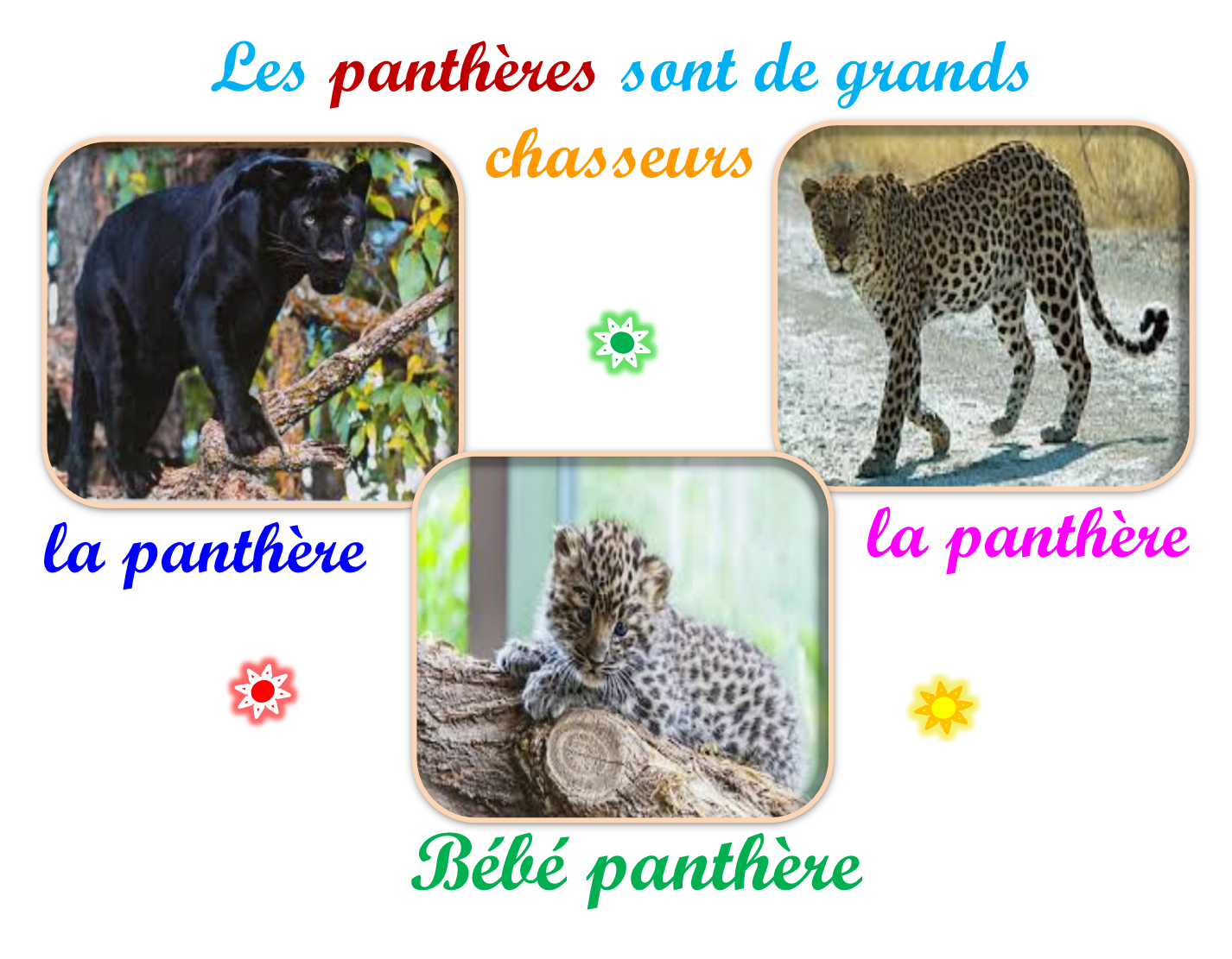 Oups